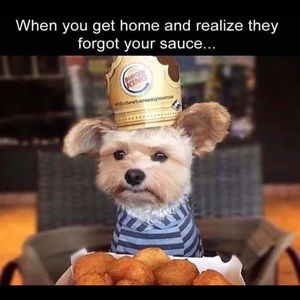 Meet your Posher, Jodi